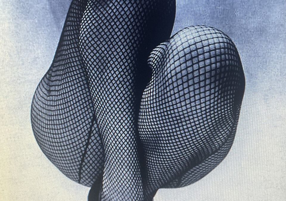 IA Fishnets
