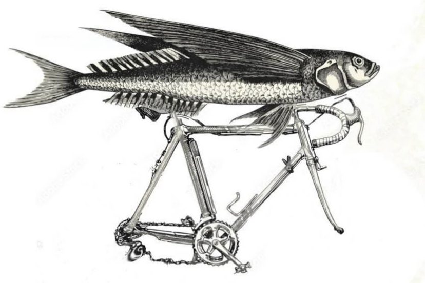 Cyclo-fish
